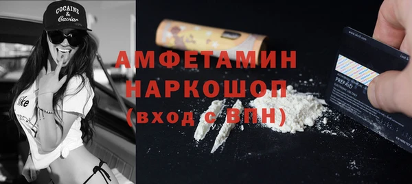 мдпв Михайлов
