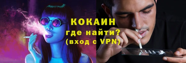 мдпв Михайлов
