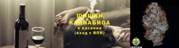 мдпв Михайлов