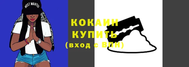 твердый Михайловск