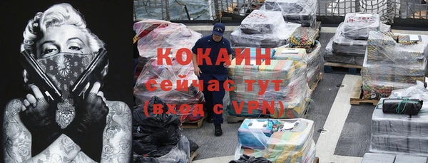 твердый Михайловск