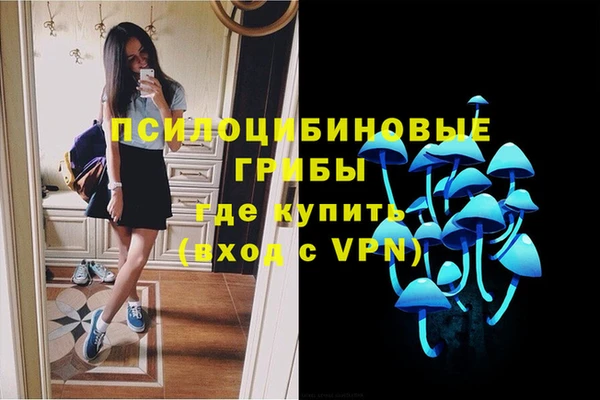 твердый Михайловск