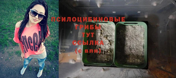 твердый Михайловск