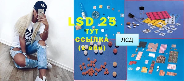 мдпв Михайлов