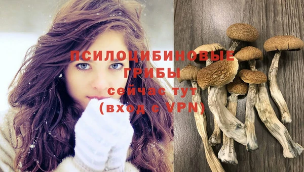 мдпв Михайлов