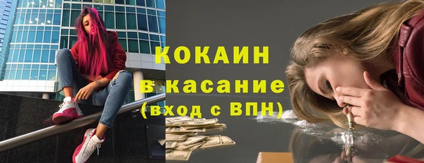мдпв Михайлов