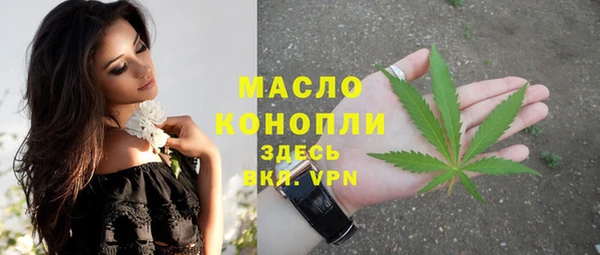 мдпв Михайлов