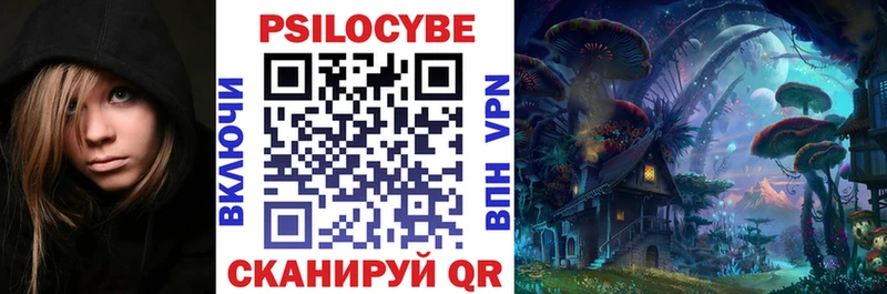 Купить закладки Орёл Галлюциногенные грибы Psilocybe